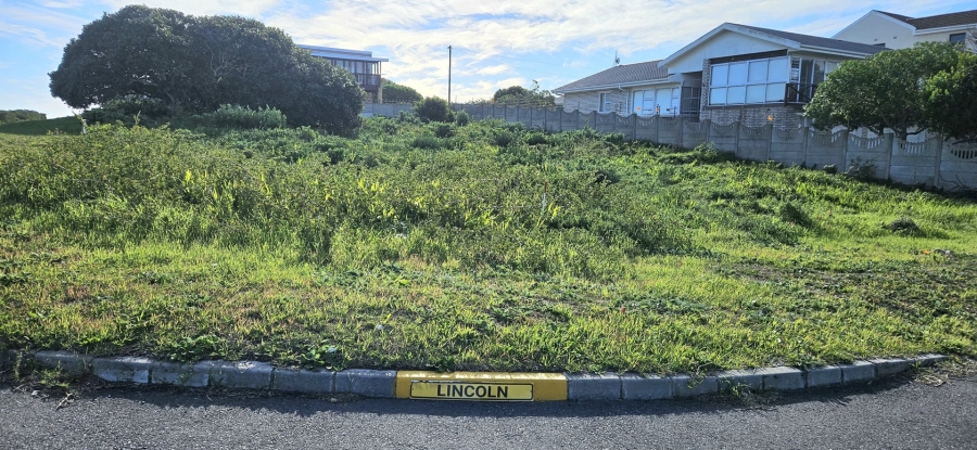 0 Bedroom Property for Sale in Franskraal Western Cape